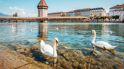 Chapel Bridge in Lucerne, Switzerland. 