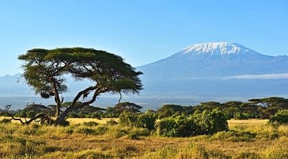 View of Mount of Kilimanjaro 