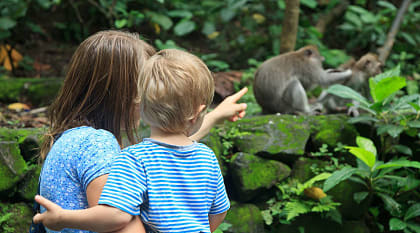 Vacation to Bali with the Family