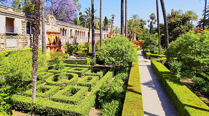 The gardens of the Real Alcazar Palace in Sevilla.