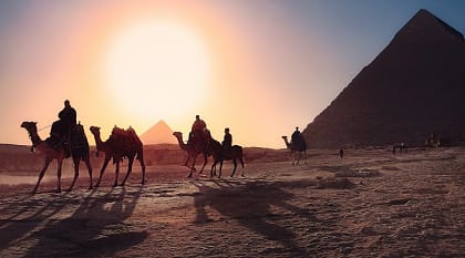 Camel caravan in Giza at sunset, Egypt