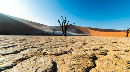 Deadvlei in Southern Namibia