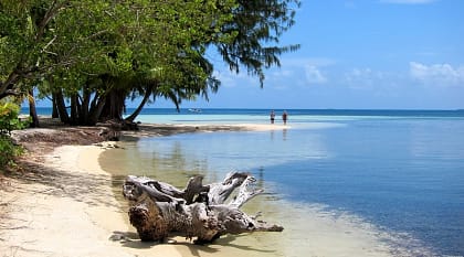 Beach on South Water Caye in Belize
