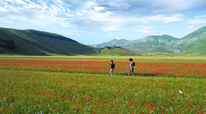 Couple trekking through poppy fields in Umbria, Italy