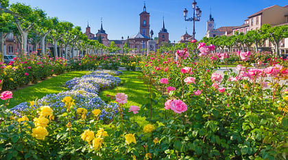 Plaza de Cervantes in Alcala de Henares.