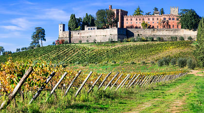 Vineyard and winery in the Chianti region of Tuscany, Italy