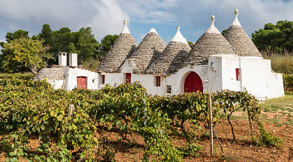 Vineyard with trulli houses in Alberobello, Puglia Region, Italy