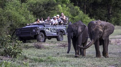 Game drive in MalaMala Game Reserve.  Photo courtesy of MalaMala Game Reserve
