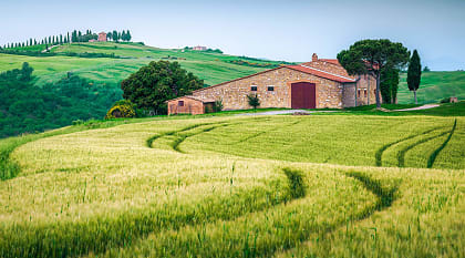Tuscany countryside with green grain fields and rustic farmhouse