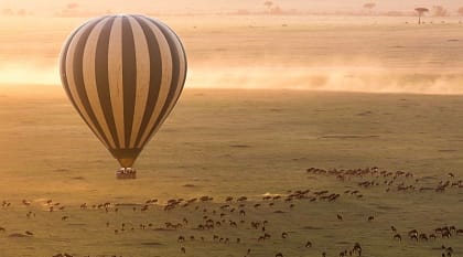Admire the herd's stunning patchwork quilt from above on a hot air balloon safari at sunrise.