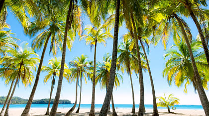 Costa Rica’s Caribbean Charms: 7-Day Family Tour