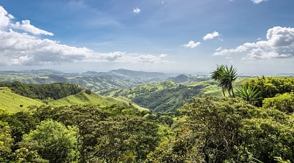 Experience the sensation of freedom from flight as you zipline through the Cloud Forest in Monteverde.
