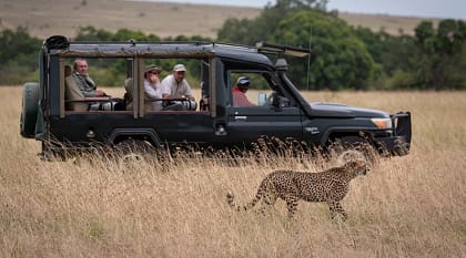 Safari in Masai Mara, Kenya