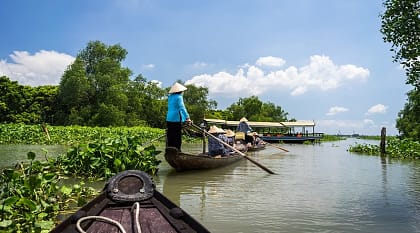 Tour row boat in Tra Su indigo plant forest in An Giang on the Mekong Delta, Vietnam.