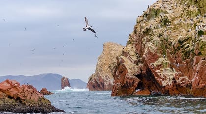 Paracas National Park in Peru.