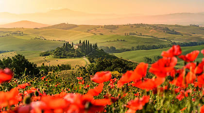 The magnificent landscape of the Val d'Orcia, located among the Tuscan hills, Italy