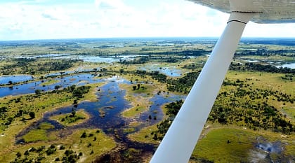 Aerial view of the Okavango Delta in Botswana