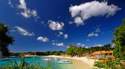 Beautiful golden sand beach with colorful flowers in Bali
