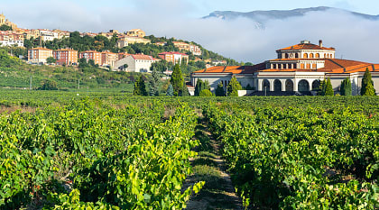 Rioja Alavesa is a world-renowned wine-growing region in Spain, where everyone can enjoy exactly the wine they like.