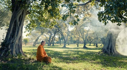 Monk meditating under a tree in Cambodia