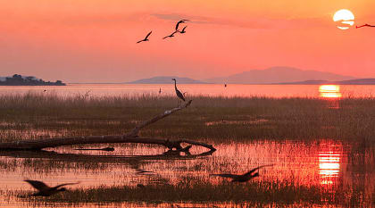 Matusadona National Park, Zimbabwe