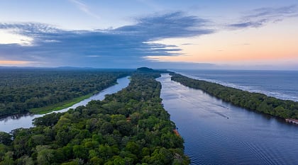 Stunning jungle along the Caribbean coast and the Tortuguero River. Tortuguero National Park, Costa Rica