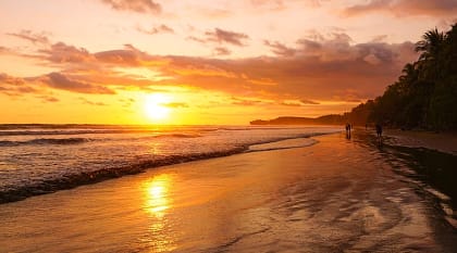 Marino Ballena National Park at sunset in Costa Rica Marino Ballena National Park at sunset in Costa Rica
