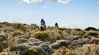 Horseback riding in Patagonia Horseback riding in Patagonia