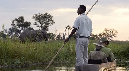 Mokoro boat safari with elephant on riverbank at Sanctuary Baines Camp in Botswana
