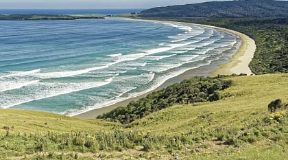 Walk through the unique landscape of the Central Otago region, New Zealand