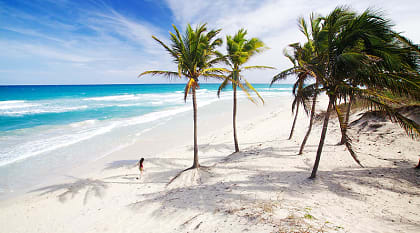 Palm trees on the beach in Cuba