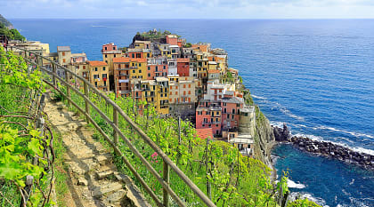 Pathway thru vineyards above Manarola in the Cinque Terre, Italy.