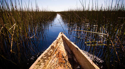 Mokoro boat on the Okavango Delta, Botswana View of the Okavango Delta from a mokoro canoe, Botswana