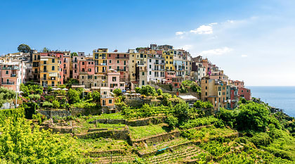 Corniglia in the Cinque Terre, Italy Vineyards and hilltop village of Corniglia in the Cinque Terre, Italy