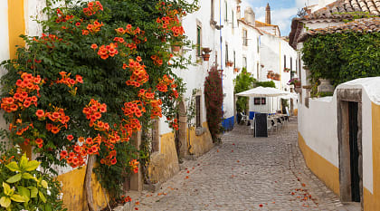 Typical street of Obidos a medieval fortified town in Portugal Typical street of Obidos a medieval fortified town in Portugal