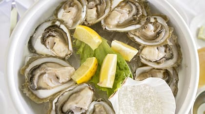 Gourmet oysters in Croatia