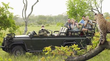 Sensational South Africa Vacation: Safaris, Cities & Vineyards