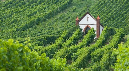 vineyards of the Barossa Valley  Church in the middle of the vineyards of the Barossa Valley, Australia