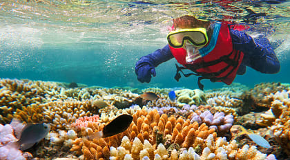 Child snorkeling in the great barrier reef in the tropical north of Queensland, Australia