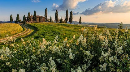 House surrounded by green fields and cypress trees in Tuscany, Italy