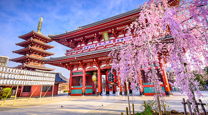 Sensoji Temple in Asakusa, Tokyo, Japan. 