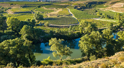 View of the vineyards and the village of San Vicente de la Sonsierra, Rioja, SpainView of the vineyards and the village of San-Vicente-de-la-Sonsierra, Rioja, Spain