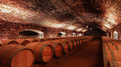 Barrels with aged wine in the cellar of a wine farm, Chile