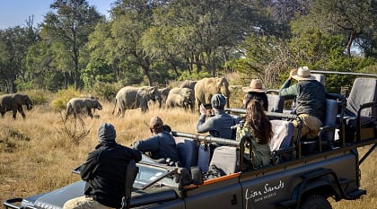 Game drive in Lion Sands Game Reserve, South Africa