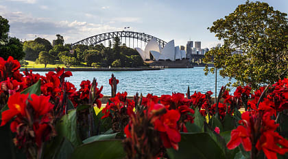 Sydney Harbor and Opera House from the Botanic Gardens in Sydney, Australia.