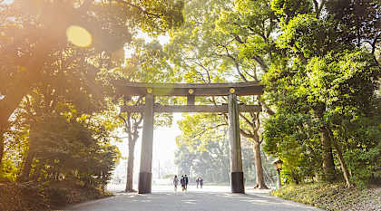 Torii gate entrance to Meiji Shrine surrounded by forest in Tokyo, Japan. Caption: