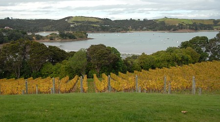 Lounge on the lush island of Waiheke as incredible art and cuisine complement the quiet beaches Lounge on the lush island of Waiheke as incredible art and cuisine complement the quiet beaches