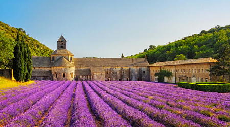 Abbey of Senanque in Gordes in France Lavender fields by the Abbey of Senanque in Gordes in France.