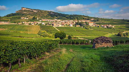Solutré-Pouilly surrounded by vineyards with the Rock of Solutré in the background