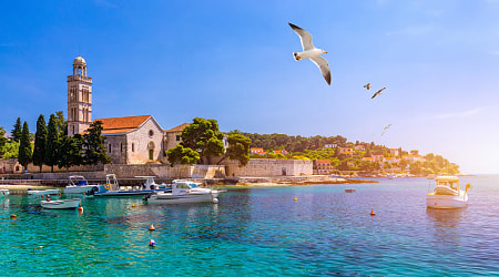 Romantic Croatian Itinerary - Hvar Seagull flying over the harbor with fishing boats in Hvar, Croatia